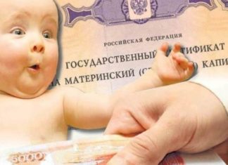 Жилье в приоритете: большинство семей Алтайского края направляют маткапитал на улучшение жилищных условий