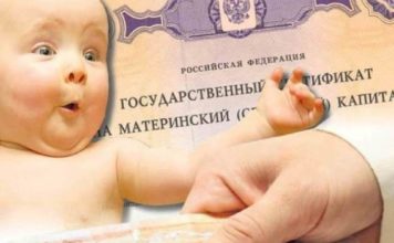 Жилье в приоритете: большинство семей Алтайского края направляют маткапитал на улучшение жилищных условий