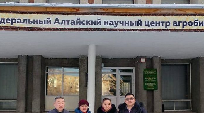 Алтайский край и Монголия укрепляют сотрудничество в сфере сельского хозяйства
