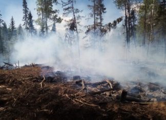 Особый противопожарный режим введен в Алтайском крае