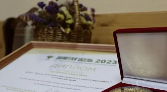 Одиннадцати золотых медалей удостоено племенное животноводство Алтайского края