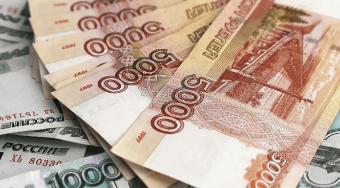 18 миллионов рублей получат социально ориентированные некоммерческие организации — победители конкурса грантов Губернатора Алтайского края