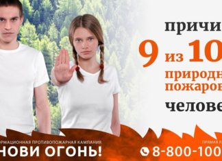Алтайский край присоединится к противопожарной информационной кампании «Останови огонь!»