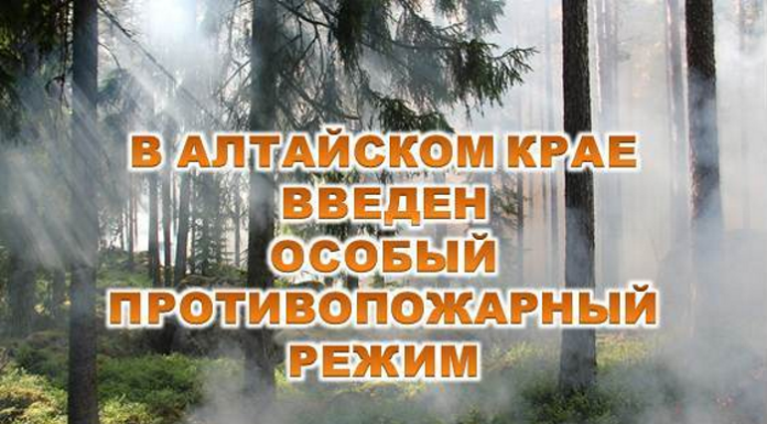 Жителям Алтайского края напоминают: в регионе действует особый противопожарный режим