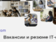 В Алтайском крае создали платформу для бесплатного размещения вакансий и резюме специалистов ИТ-сферы