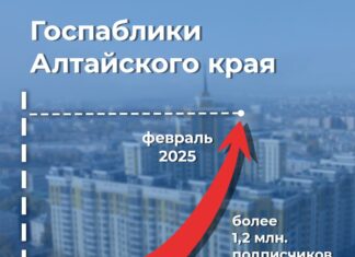 В Алтайском крае выросло количество подписчиков госпабликов