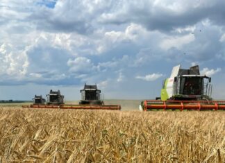 Валовой региональный продукт Алтайского края по итогам 2025 года вырастет на 8,3% — до 1,3 триллиона рублей