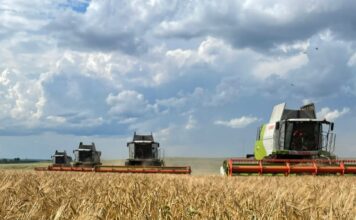 Валовой региональный продукт Алтайского края по итогам 2025 года вырастет на 8,3% — до 1,3 триллиона рублей