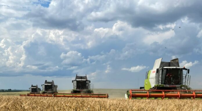 Валовой региональный продукт Алтайского края по итогам 2025 года вырастет на 8,3% — до 1,3 триллиона рублей
