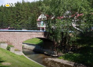 Курорты Алтайского края преодолели фактор сезонности