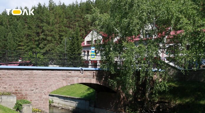 Курорты Алтайского края преодолели фактор сезонности