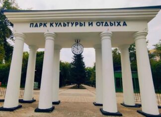 Семьи из Алтайского края примут участие в отборочном региональном этапе всероссийской игры «Семейная зарница»
