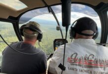В Алтайском крае благодаря авиалесоохране 99% лесных пожаров удается потушить в первые сутки