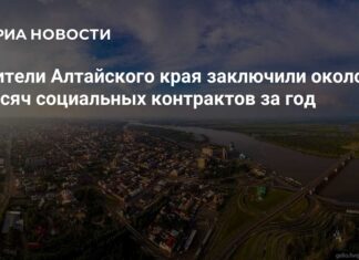 Порядка 4 тысяч социальных контрактов заключили жители Алтайского края