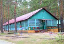 Порядка 26,5 тысячи детей приняли участие в мероприятиях социальных учреждений Алтайского края в рамках летней оздоровительной кампании