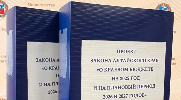 Проект бюджета Алтайского края на 2026 год и на плановый период 2027 и 2028 годов принят в первом чтении