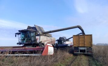 На полях ООО «Чарышское» осенняя страда входит в завершающую фазу