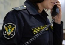 Жители Алтайского края смогут получить консультации по алиментам по телефону горячей линии