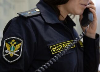 Жители Алтайского края смогут получить консультации по алиментам по телефону горячей линии