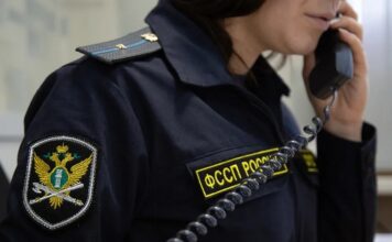 Жители Алтайского края смогут получить консультации по алиментам по телефону горячей линии
