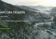 В Белокурихе прошел первый «День денисовца»: названы победители всероссийского конкурса арт-объектов