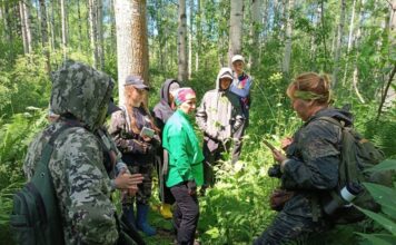 В Алтайском крае национальный парк «Салаир» принимает участников экологической экспедиции