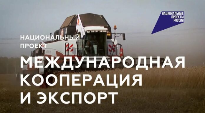 Алтайский край признан одним из регионов — лидеров Сибири по поддержке экспорта
