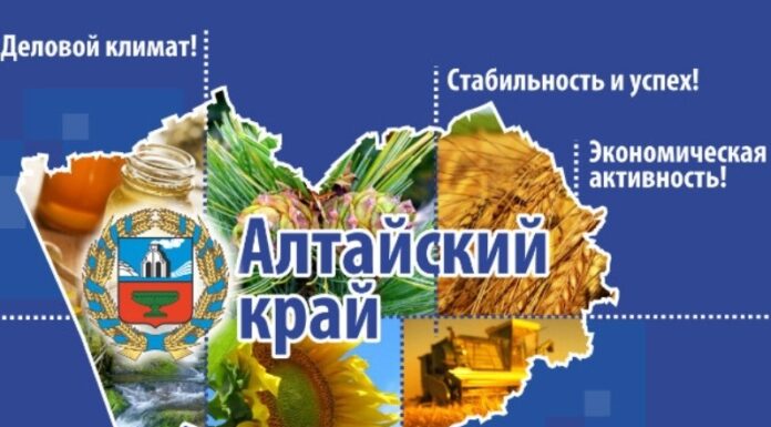 На заседании Правительства Алтайского края представлен прогноз социально-экономического развития региона на ближайшие три года